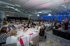 NCJWSTL_115